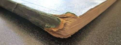 The Illustrated London News, Coronation of Queen Elizabeth II, 1953 ISSUE - 1st Edition