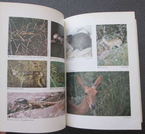 A Field Guide to the Natal Drakensberg. A Wildlife Handbook by Pat Irwin, J. Akhurst, D. Irwin