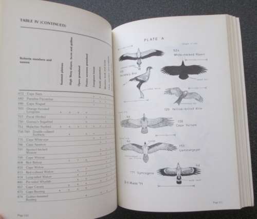 A Field Guide to the Natal Drakensberg. A Wildlife Handbook by Pat Irwin, J. Akhurst, D. Irwin