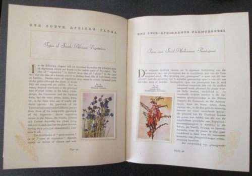 Our South African Flora, Ons Suid-Afrikaanse plantegroei , Edited by R.H. Compton, 1940, Bilingual