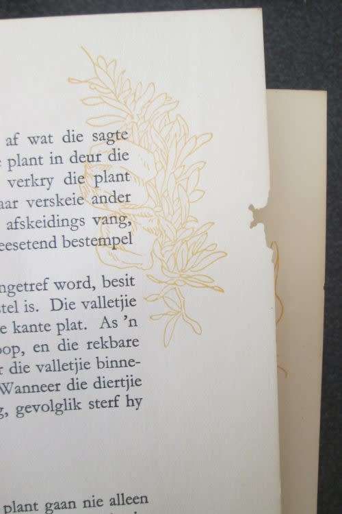 Our South African Flora, Ons Suid-Afrikaanse plantegroei , Edited by R.H. Compton, 1940, Bilingual