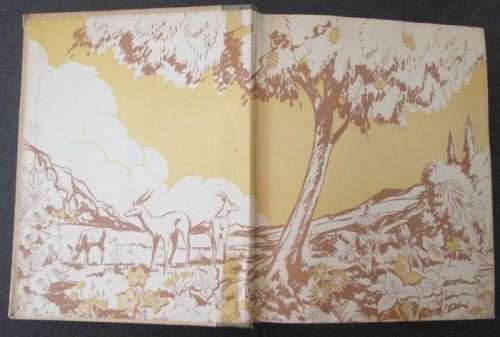 Our South African Flora, Ons Suid-Afrikaanse plantegroei , Edited by R.H. Compton, 1940, Bilingual