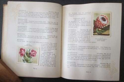 Our South African Flora, Ons Suid-Afrikaanse plantegroei , Edited by R.H. Compton, 1940, Bilingual