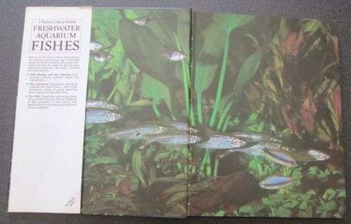 A practical guide to keeping freshwater aquarium fishes, John A Dawes, 1987, FIRST EDITION