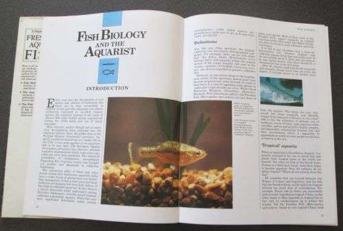 A practical guide to keeping freshwater aquarium fishes, John A Dawes, 1987, FIRST EDITION