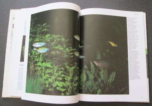 A practical guide to keeping freshwater aquarium fishes, John A Dawes, 1987, FIRST EDITION