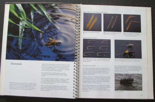 A practical guide to keeping freshwater aquarium fishes, John A Dawes, 1987, FIRST EDITION
