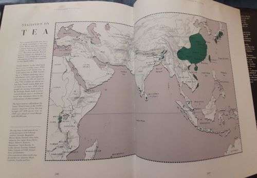 THE BOOK OF TEA, A CONNOISSEUR`s GUIDE  Preface by Anthony Burgess