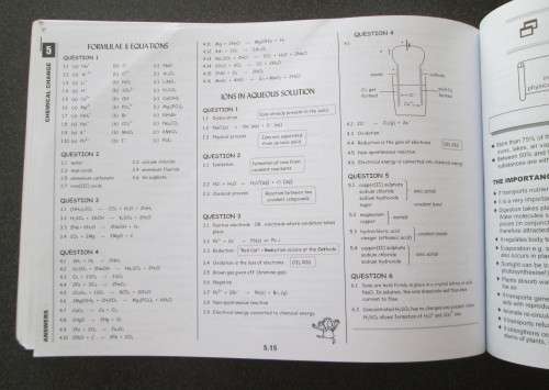 Gr 10 Physical Sciences The Answer Series, 2 BOOKS: Papers & Answers AND 3in1, Trevor van Niekerk