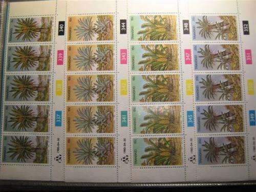 Transkei Cycads Control strips at 20% of cat value!