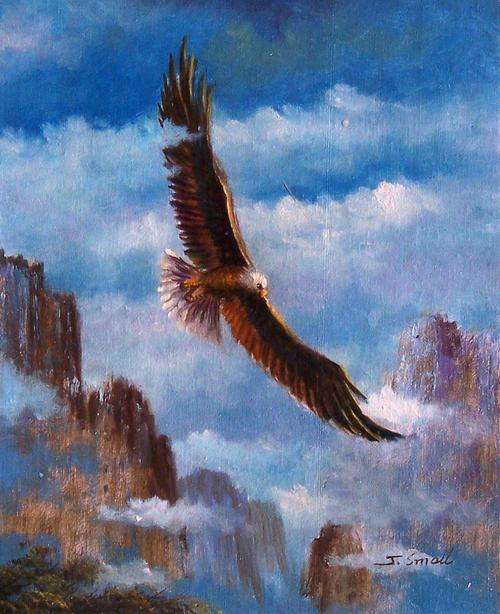 Eagle in flight by J Small.  Oil on canvas.