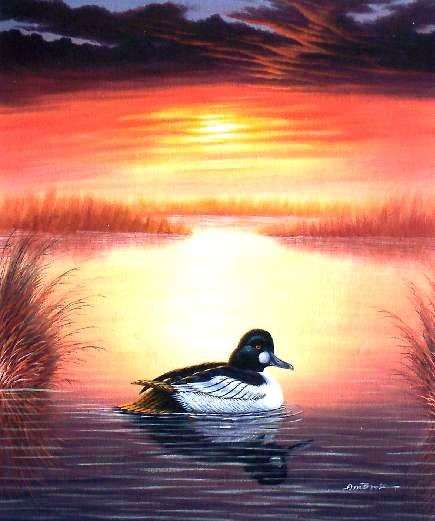 Duck at sunset  by Ambrose. Oil on canvas.