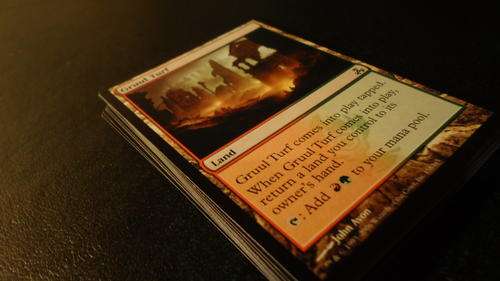RANDOM 20 common lot Magic the Gathering **mtg** LANDS