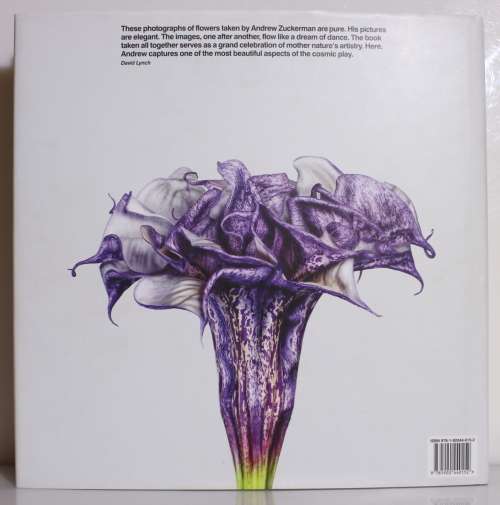 FLOWER by Andrew Zuckerman 2012