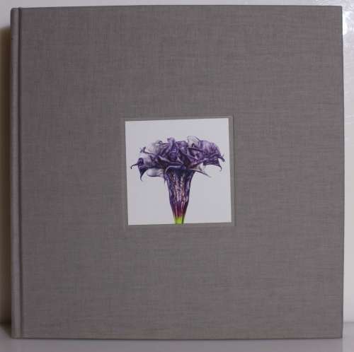 FLOWER by Andrew Zuckerman 2012