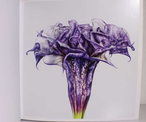 FLOWER by Andrew Zuckerman 2012