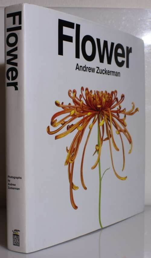 FLOWER by Andrew Zuckerman 2012