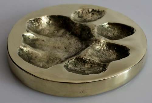 Rare BW Genis African Lion/Panthera Leo Spoor in solid brass 1985 FOR JENNIFER