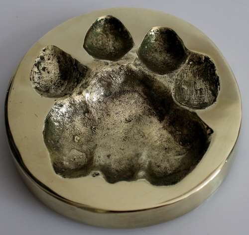 Rare BW Genis African Lion/Panthera Leo Spoor in solid brass 1985 FOR JENNIFER