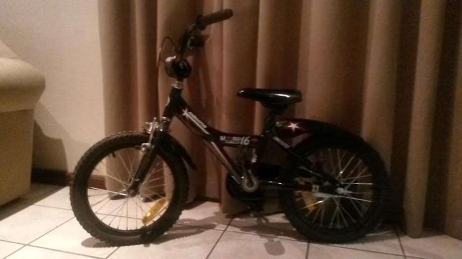 Boys Giant Animator Bicycle