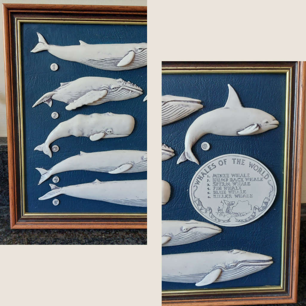 Maritime Faux Resin Scrimshaw in Wood Frame