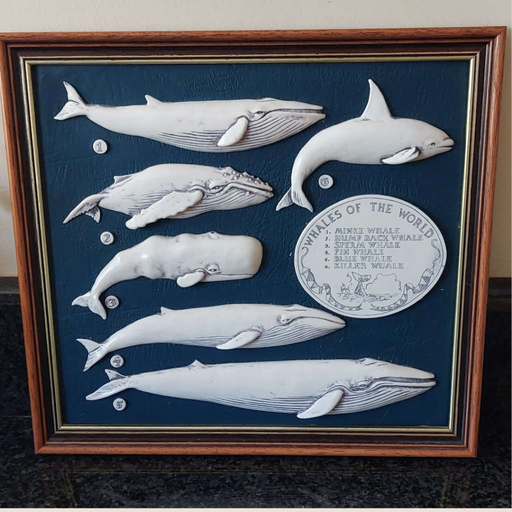 Maritime Faux Resin Scrimshaw in Wood Frame