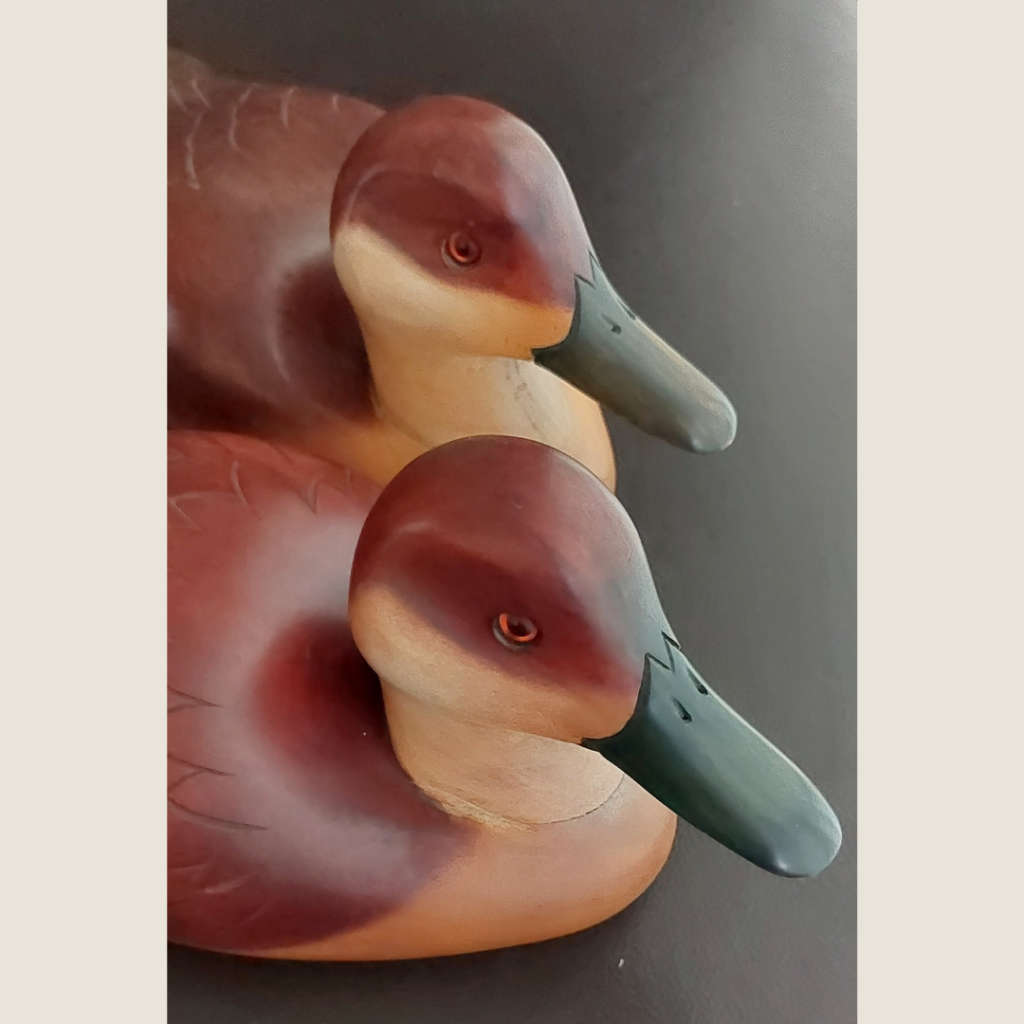 A Pair of Hottentot Teal Ducks - Feathers of Knysna Collectors