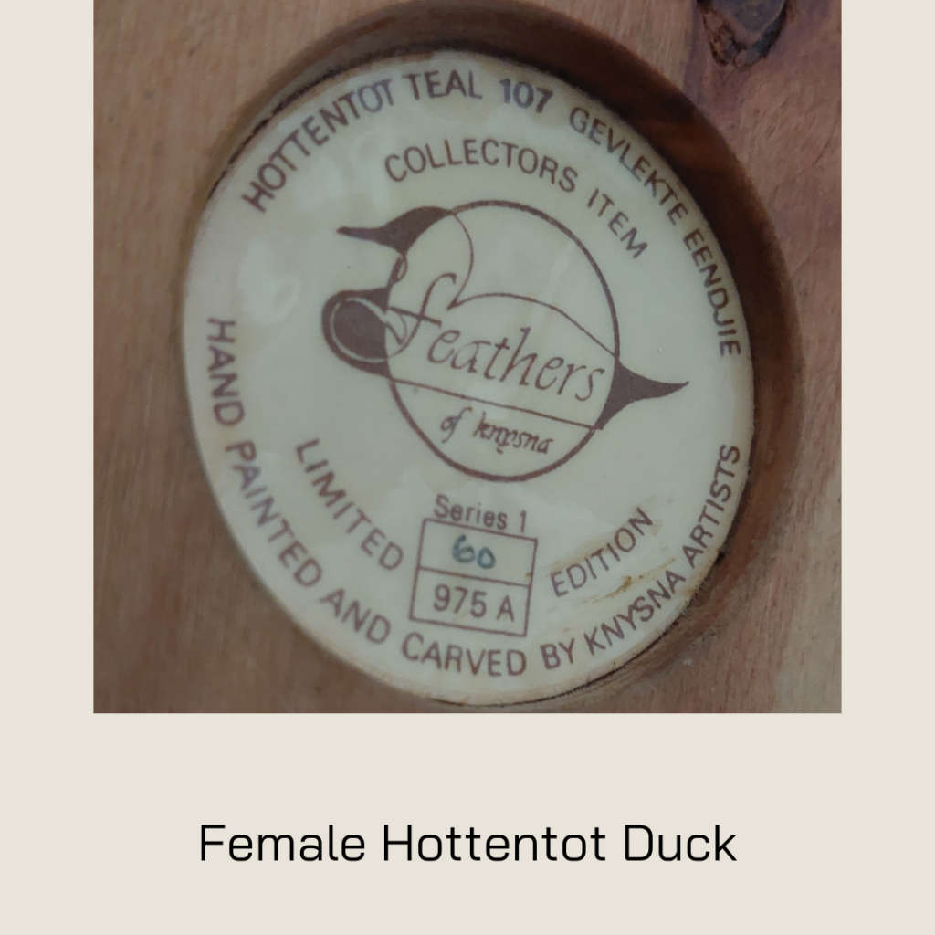 A Pair of Hottentot Teal Ducks - Feathers of Knysna Collectors