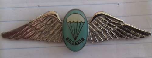 SADF Para Instructors wing set Includes wing for browns 100% all genuine items