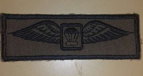 SADF Para Instructors wing set Includes wing for browns 100% all genuine items