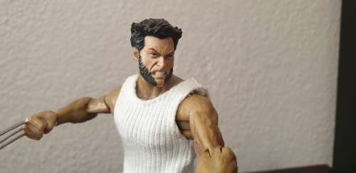 Marvel Select Wolverine