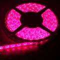 Led Strip lights 3528 60led/mtr 12V Pink Water resistant **Price p/mtr **IN STOCK**