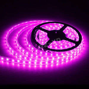 5 meter 3528 Led Strip Light 60 Led p/mtr-4.8W p/mtr -Bright Pink -IP65 Water Resistant-