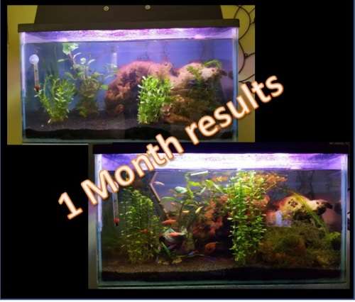 Planter tank Samsung 5730 12Vdc 100cm Heavy Duty Aluminium Grow LED strip light