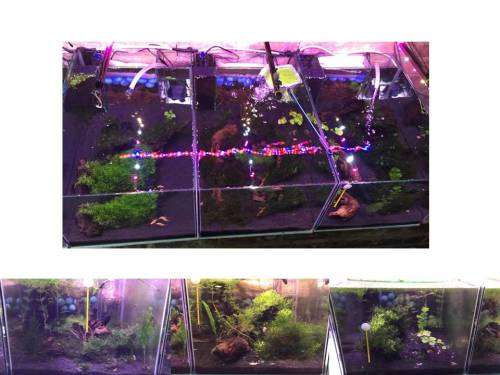 Planter tank Samsung 5730 12Vdc 100cm Heavy Duty Aluminium Grow LED strip light