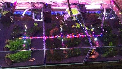 Planter tank Samsung 5730 12Vdc 100cm Heavy Duty Aluminium Grow LED strip light