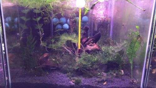 Planter tank Samsung 5730 12Vdc 100cm Heavy Duty Aluminium Grow LED strip light