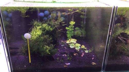 Planter tank Samsung 5730 12Vdc 100cm Heavy Duty Aluminium Grow LED strip light