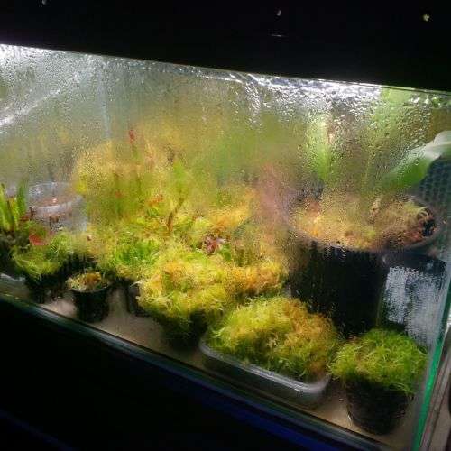 Hydroponics/Grow Samsung 5730 12Vdc 100cm Heavy Duty Aluminium Grow LED strip light