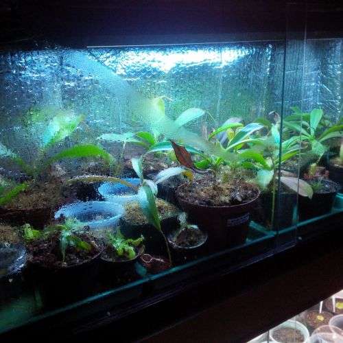 Hydroponics/Grow Samsung 5730 12Vdc 100cm Heavy Duty Aluminium Grow LED strip light