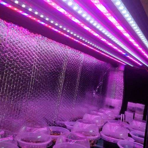 Hydroponics/Grow Samsung 5730 12Vdc 100cm Heavy Duty Aluminium Grow LED strip light