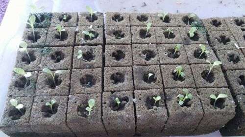 Hydroponics/Grow Samsung 5730 12Vdc 100cm Heavy Duty Aluminium Grow LED strip light