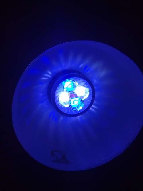 E27 12W LED BLUE  & White AQUARIUM LED LIGHT