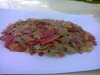 Tropical Fish Flakes (250g)