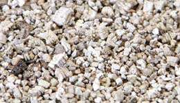 Vermiculite (1 Litre)