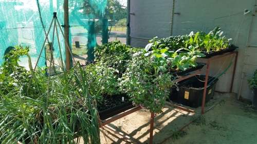 Hydroponic nutrient (hydroflow). Manufactured in South Africa