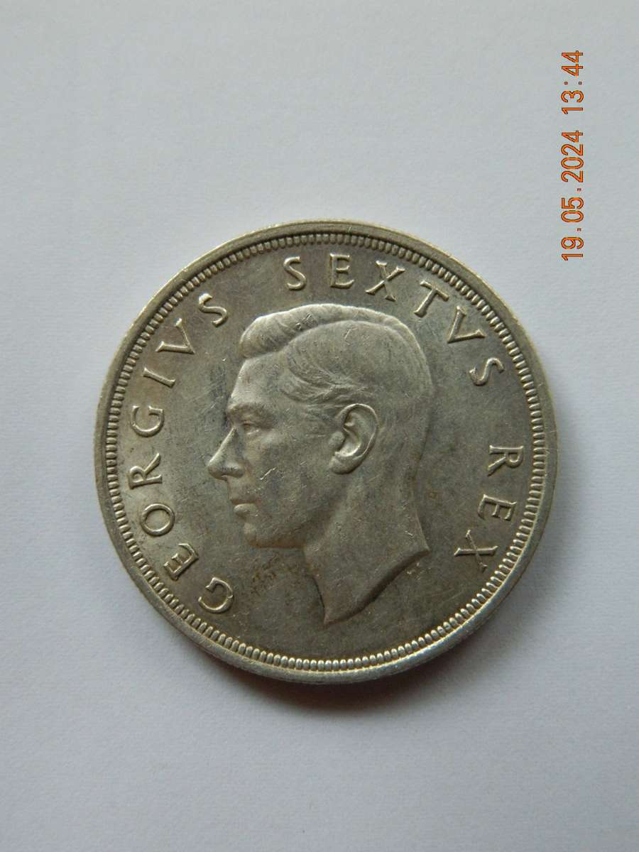 1950  S.A UNION  -  5 SHILLINGS COIN