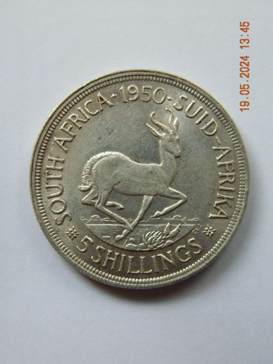 1950  S.A UNION  -  5 SHILLINGS COIN