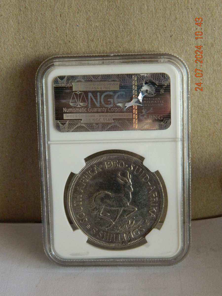 S. A. UNION  - 5 SHILLINGS -  1950  -  COIN ON DISPLAY   - POLISHED - AU DETAILS