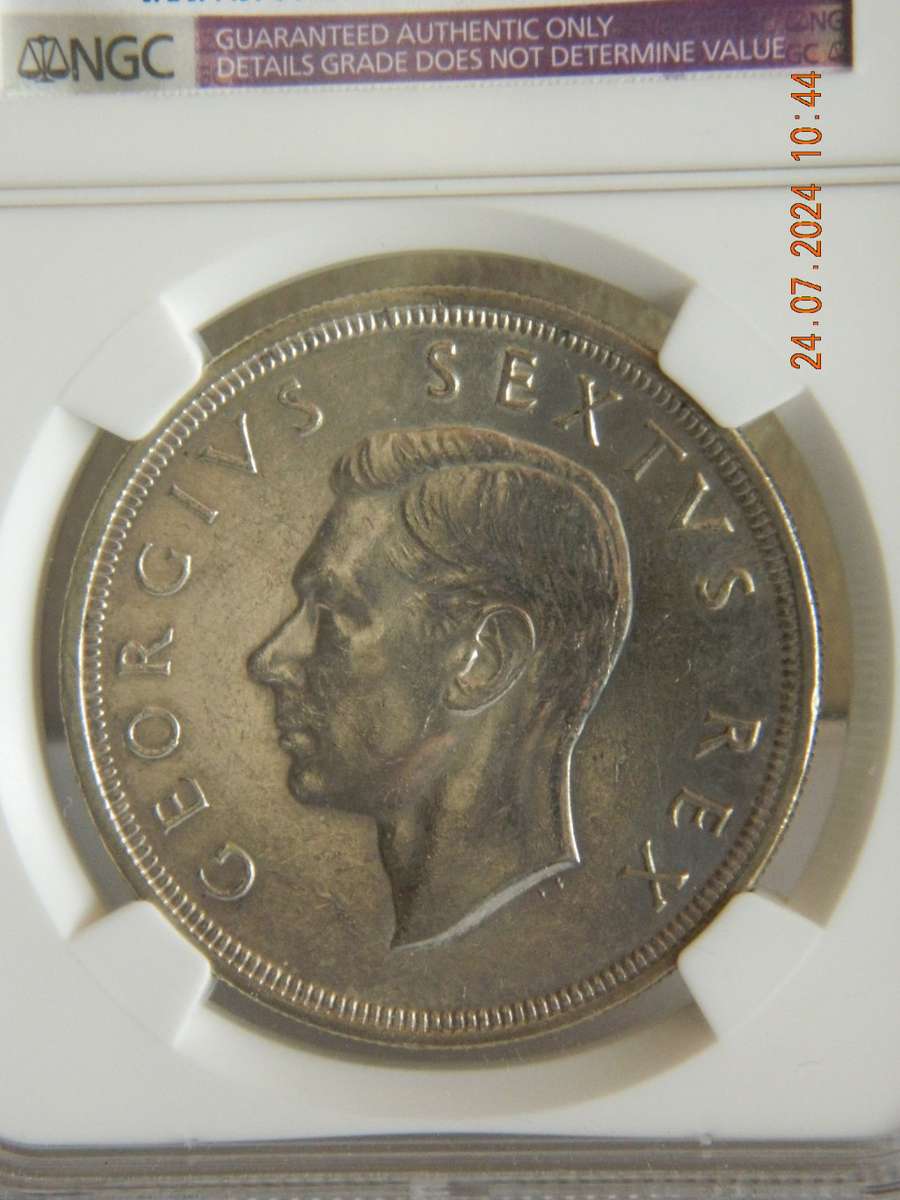 S. A. UNION  - 5 SHILLINGS -  1950  -  COIN ON DISPLAY   - POLISHED - AU DETAILS